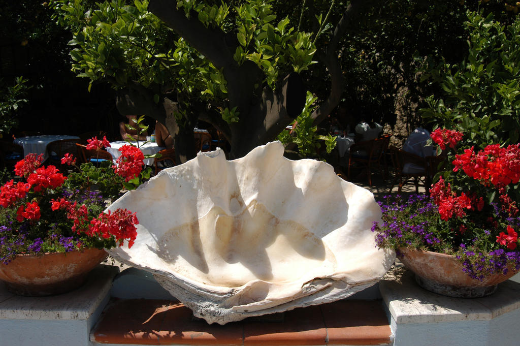 Hotel San Felice Capri Eksteriør billede